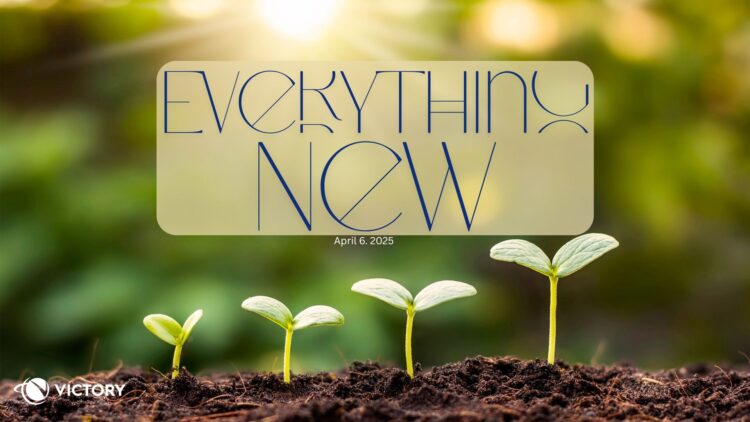 Sunday Notes: April  6th, 2025: Everything New